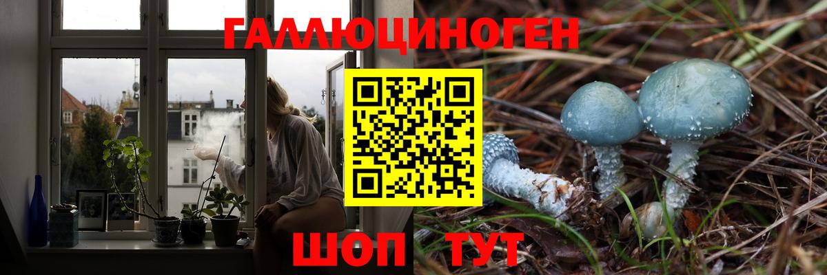 Псилоцибиновые грибы мицелий Борзя